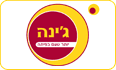 פלאפל ג'ינה