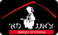 נודלס