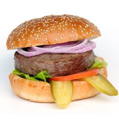 ביגר בורגר 330g