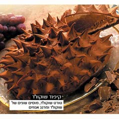 קיפוד שוקולד